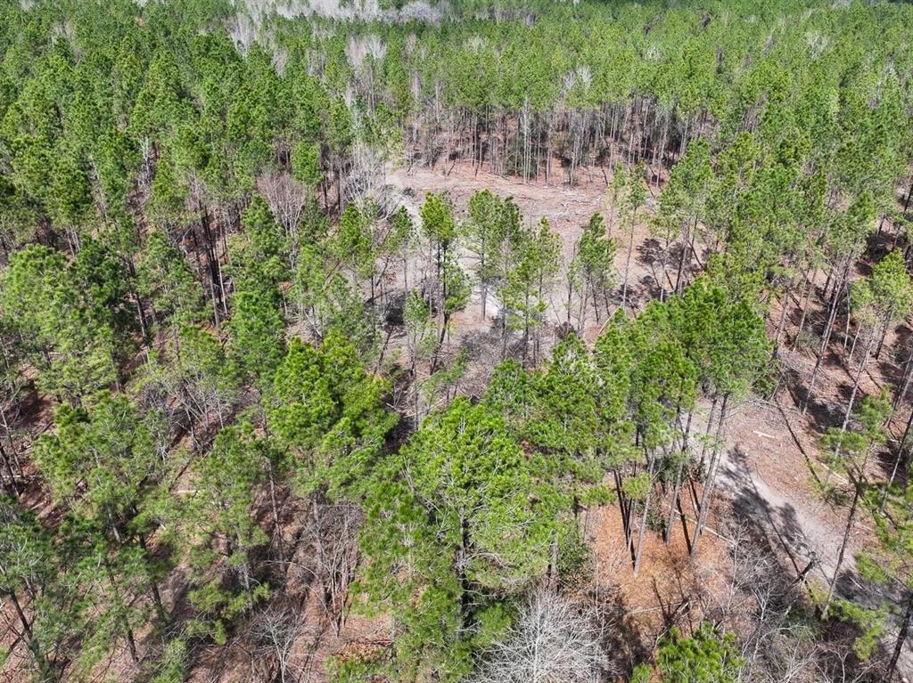 Photo of TBD Off Fm 355