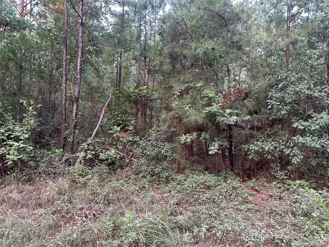 Photo of 2103 Jenkins Road