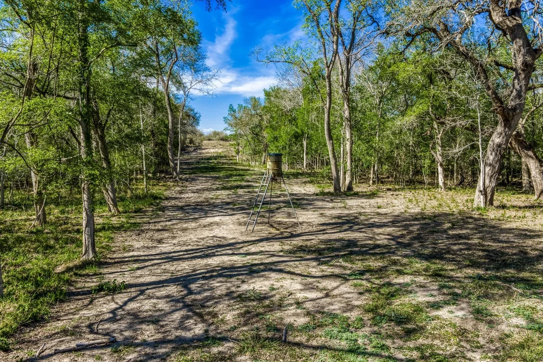 Photo of 687 County Road 340