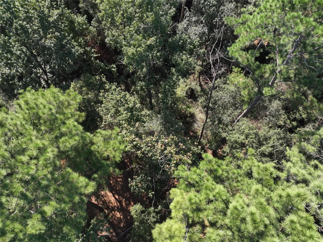Photo of 4242 Starling Stream Drive
