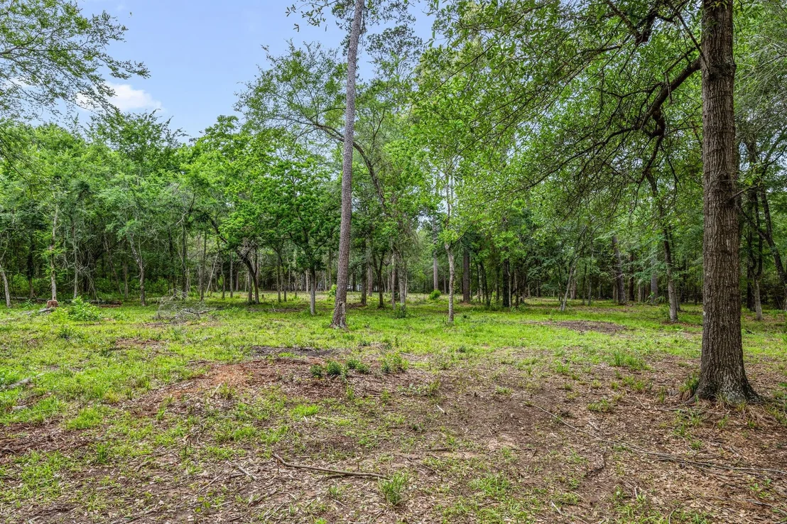 Photo of 26020 Pine Shadows Drive