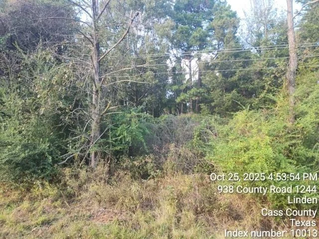 Photo of 938 County Road 1244 Road