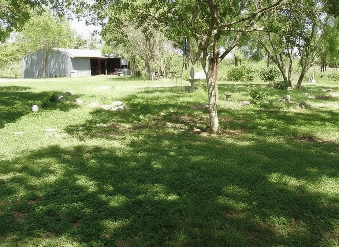 Photo of 11913 Mcangus Road