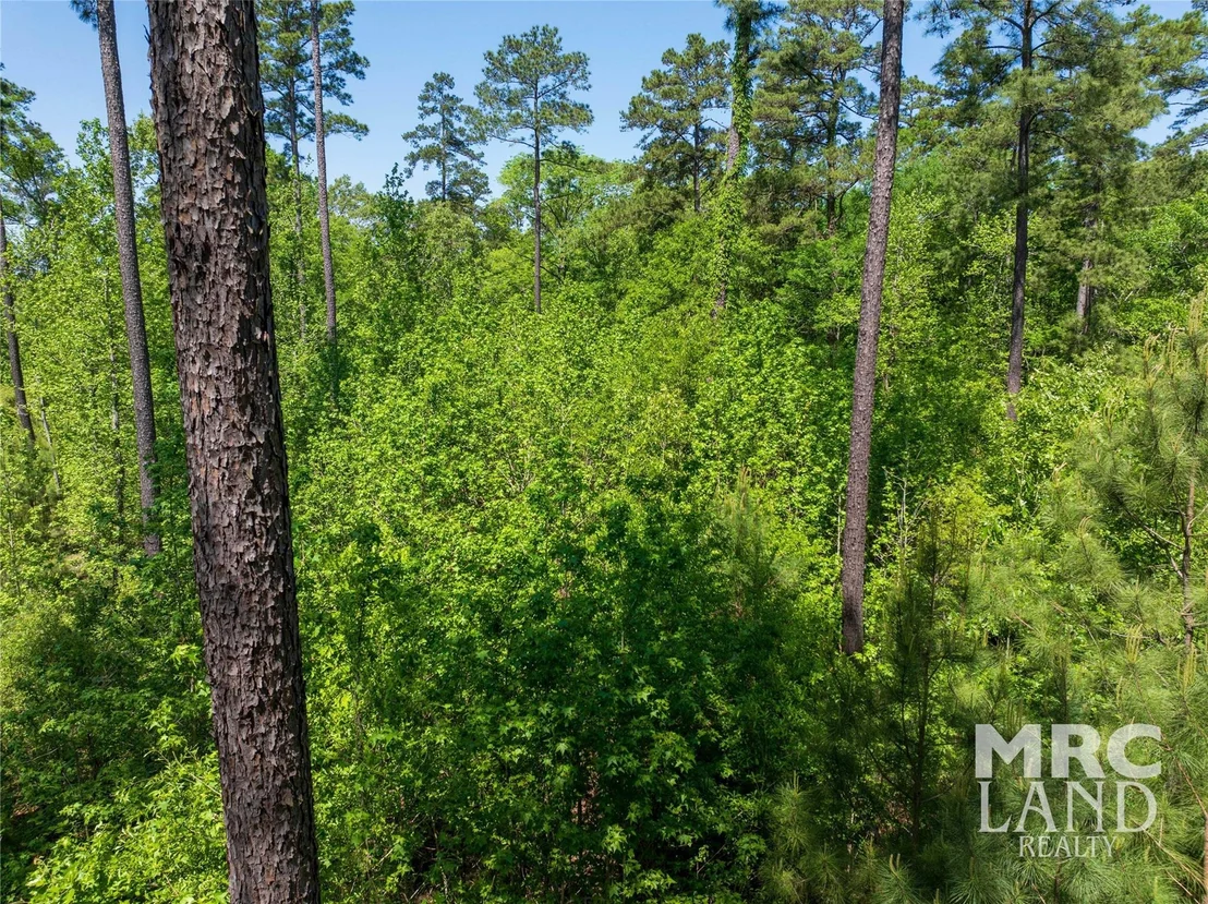 Photo of 00 Linn Flat Rd