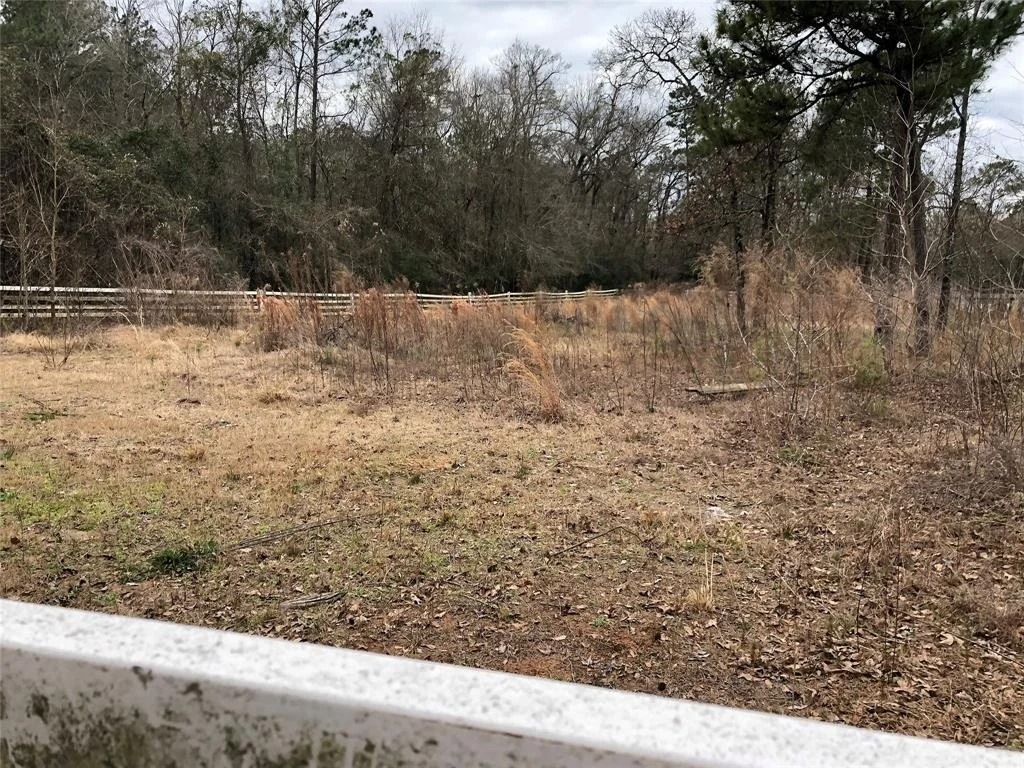 Photo of 16581 Interstate 45 N