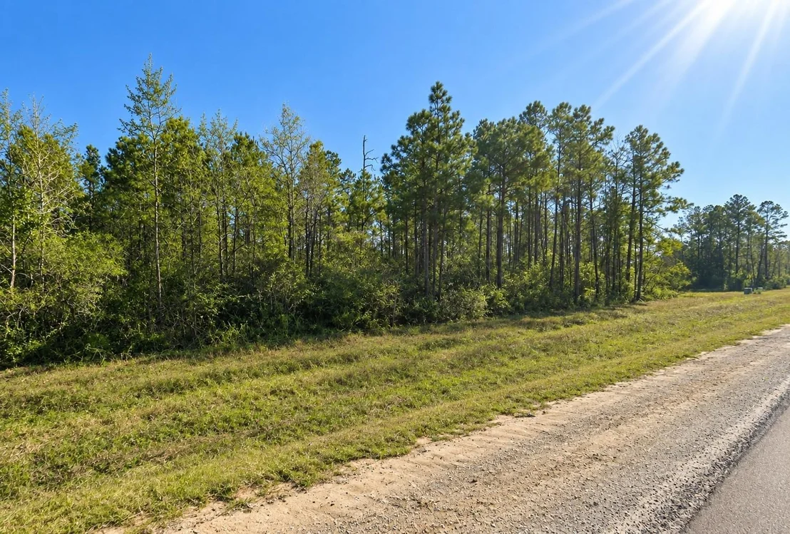 Photo of 11631 Grand North Road