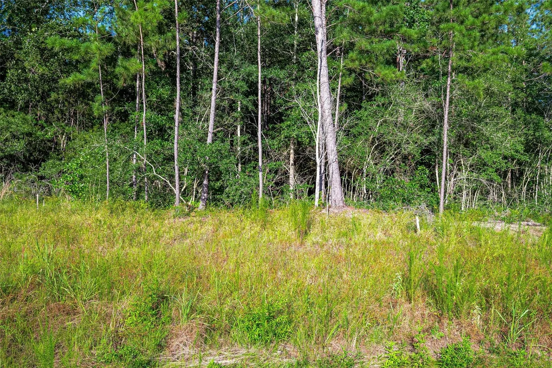 Photo of 102 Eagle Run Road