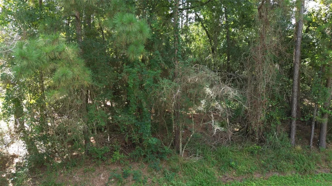 Photo of 2404 Chantilly Lane