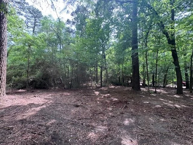 Photo of TBD5 Spreading Oak