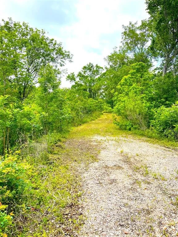 Photo of 5135 County Road 288