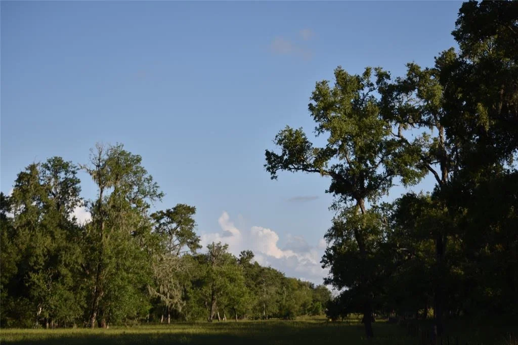 Photo of 5300 U-Pond Drive/County Road 611