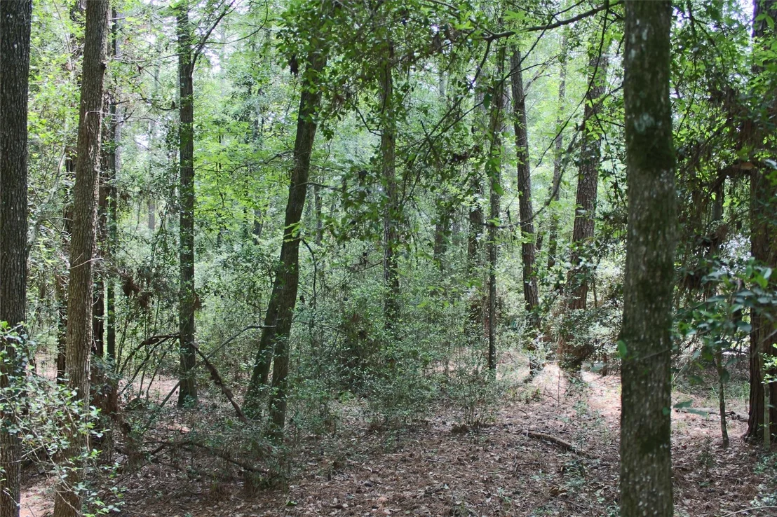 Photo of 10362 Hunter Creek Lane