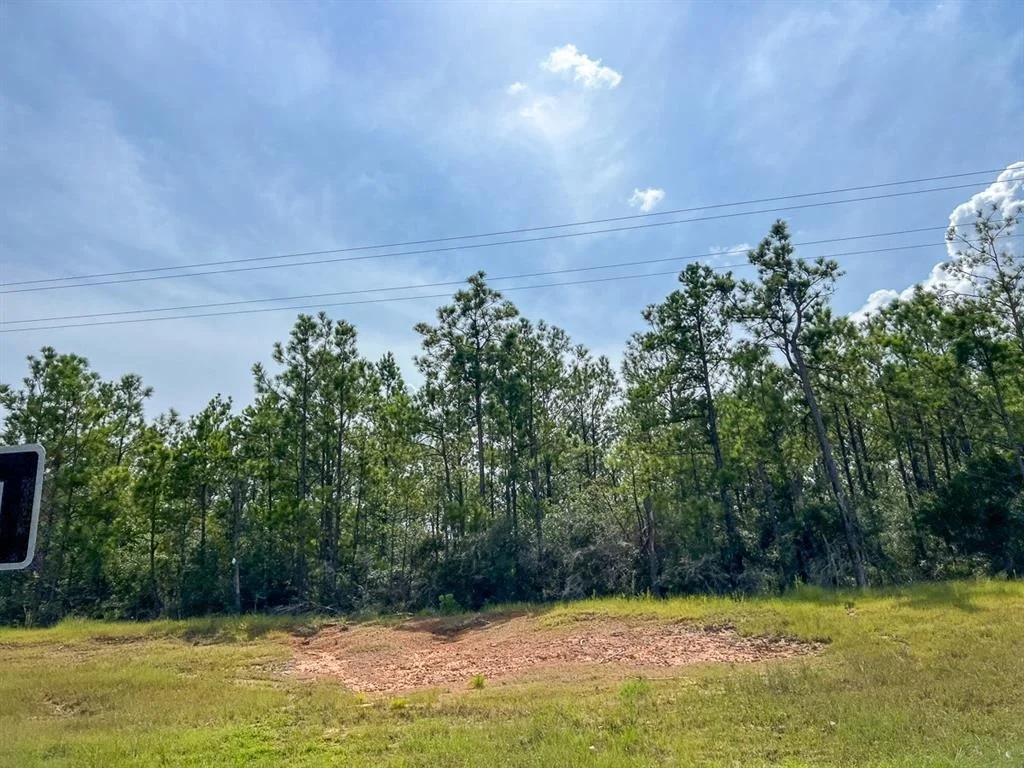 Photo of 01 Highway 96