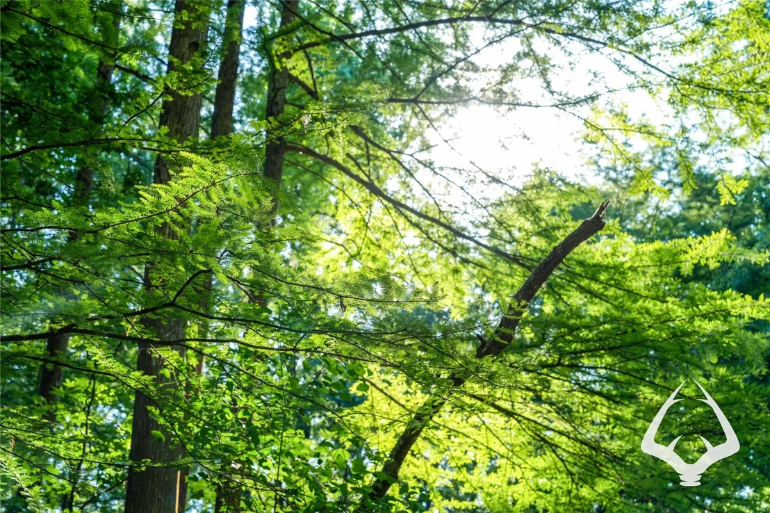 Photo of 00 Hwy 69