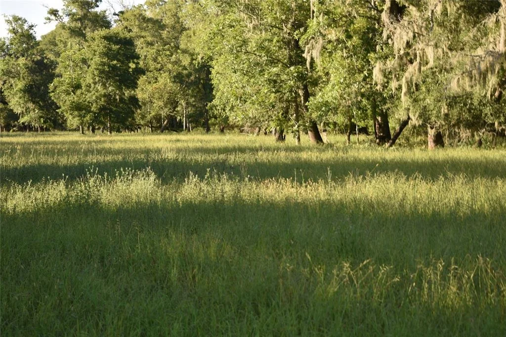 Photo of 5300 U-Pond Drive/County Road 611
