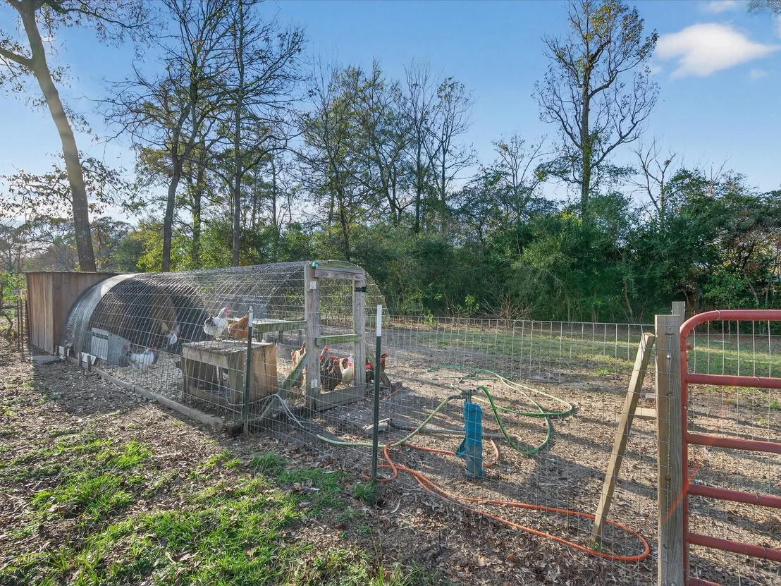 Photo of 10277 Champion Forest Loop