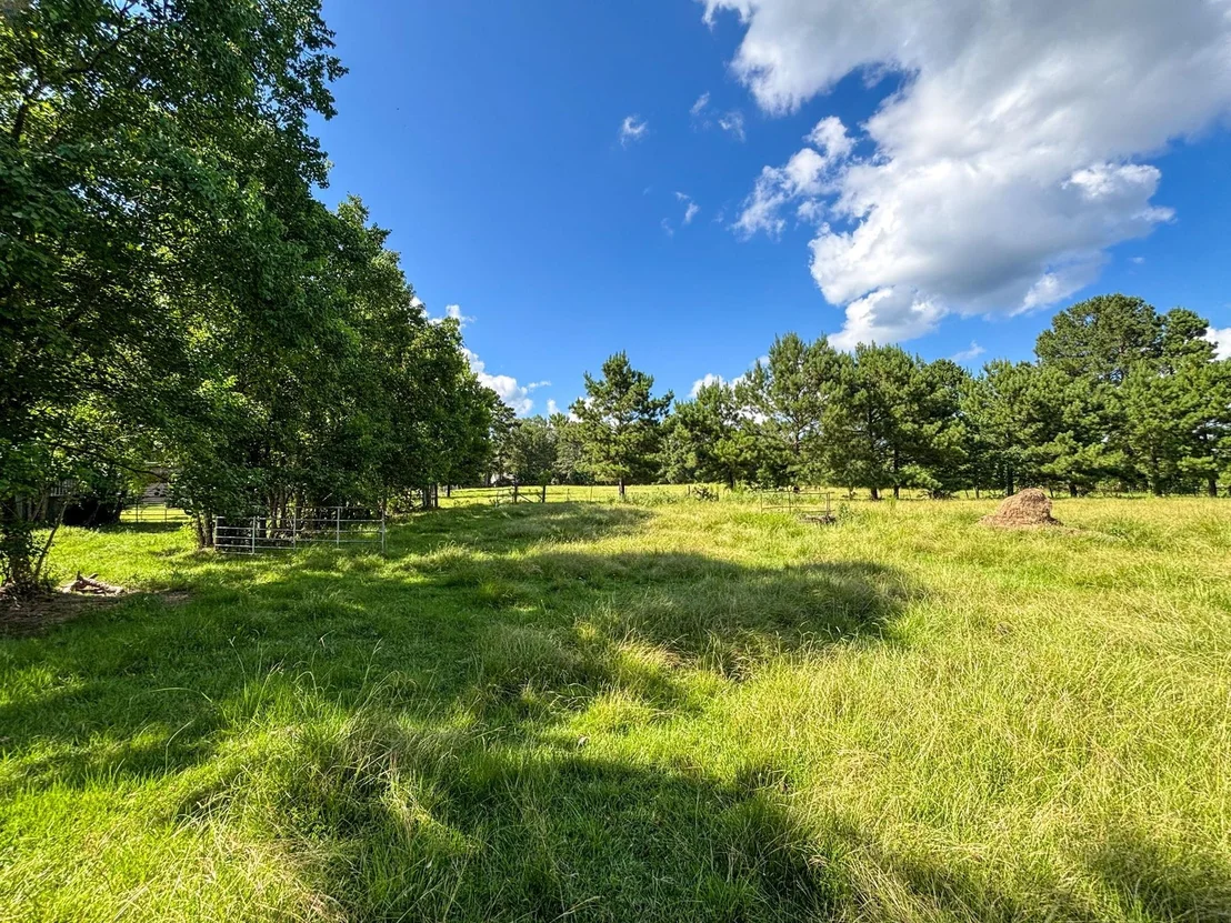 Photo of 1533 County Road 348