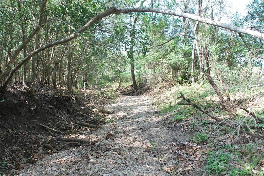 Photo of 1801 County Road 381