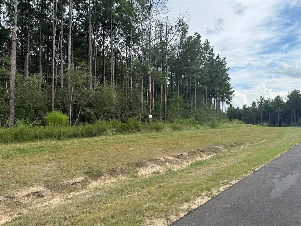 Photo of 15334 Forest Grove Drive