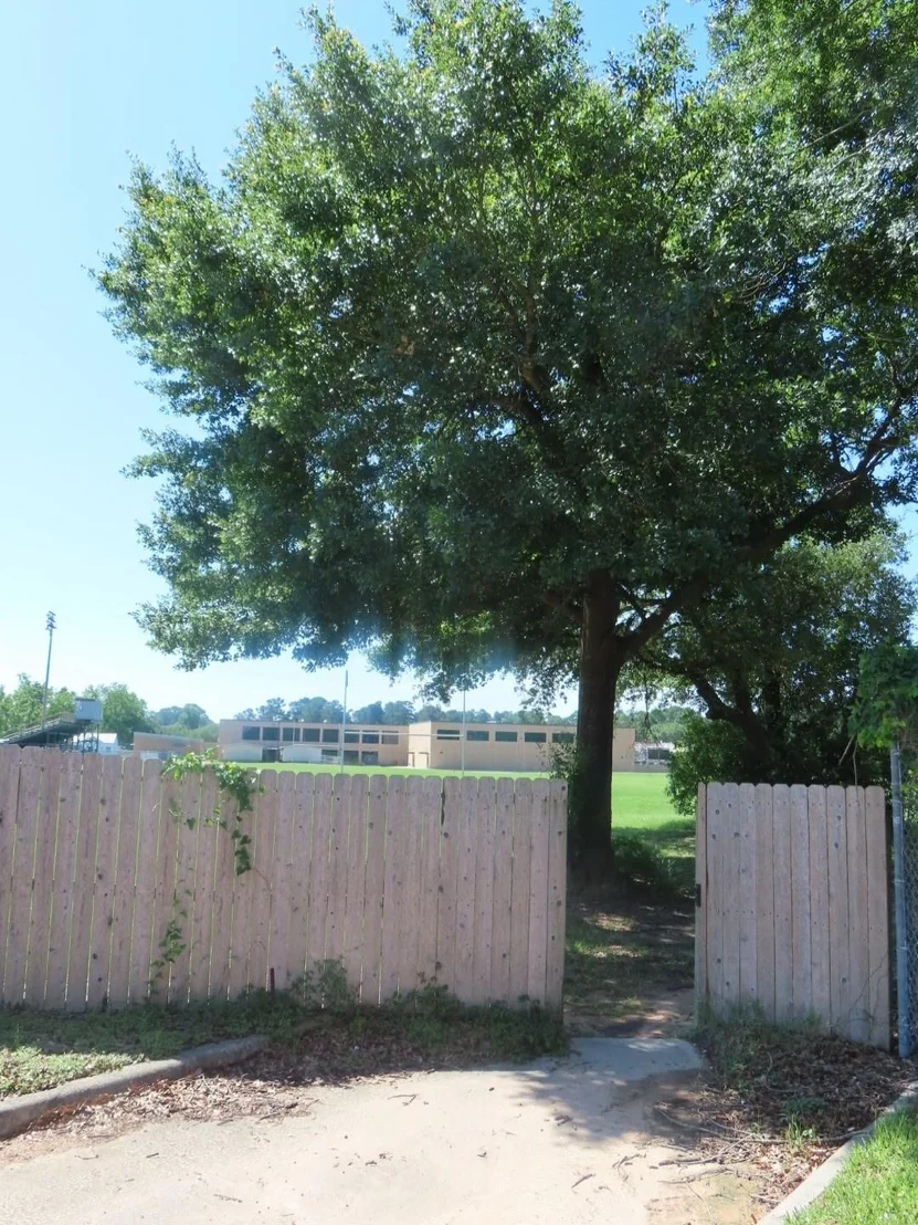 Photo of 8419 Marchelle Lane