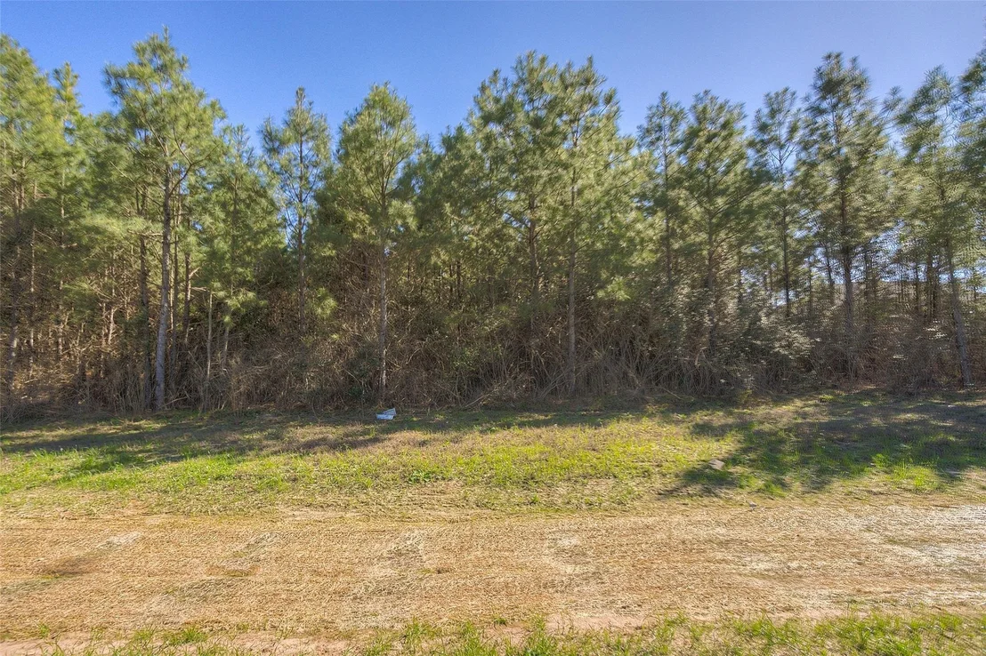 Photo of 15675 Ridge Rock Road