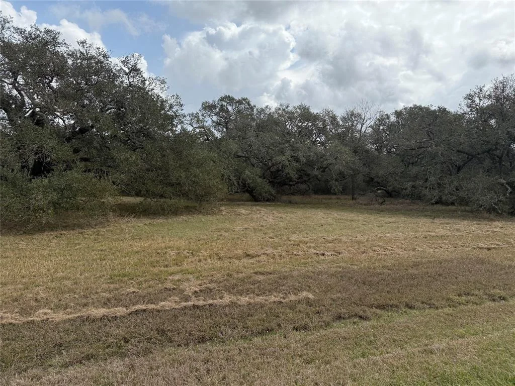 Photo of 114 Center Tree Drive