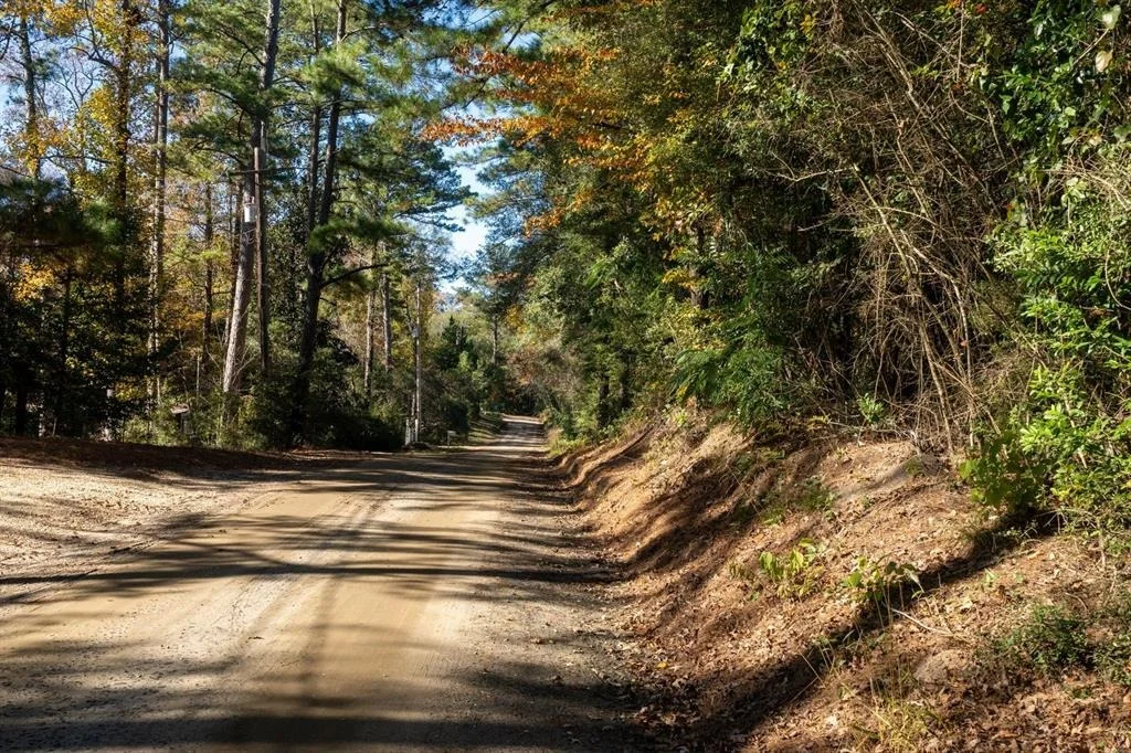 Photo of 445 County Road 3190