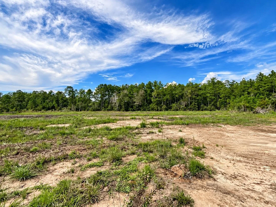 Photo of 13110 Blackberry Drive