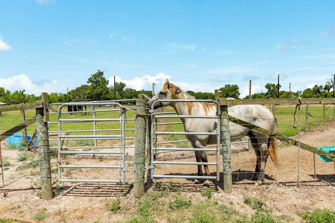 Photo of 438 County Road 164