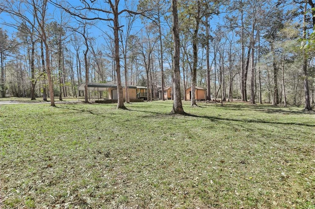 Photo of 11163 Magnolia Drive
