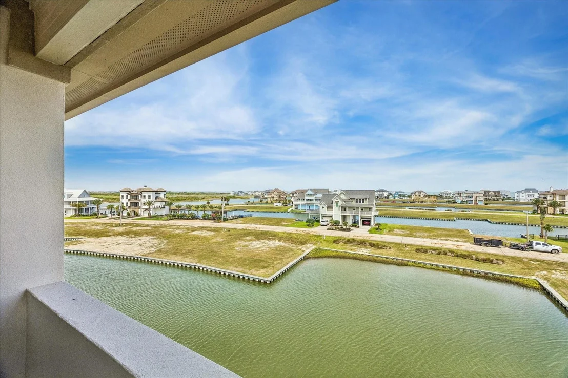 Photo of 9 Loggerhead