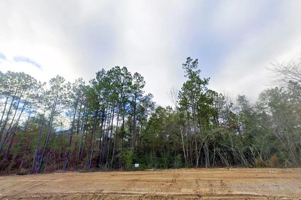 Photo of 11652 Grand North Road