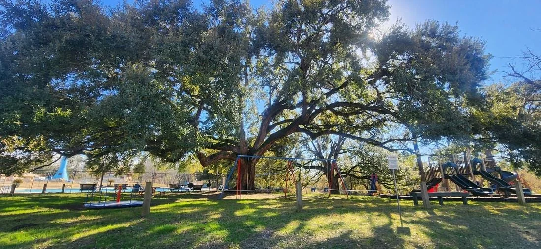 Photo of 3319 Shadowcrest Lane