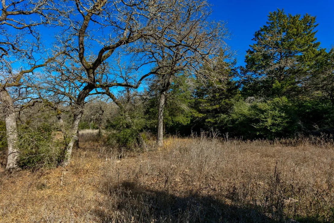 Photo of 10162 County Road 321