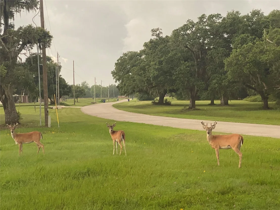 Photo of 248 Middle Bayou Trail