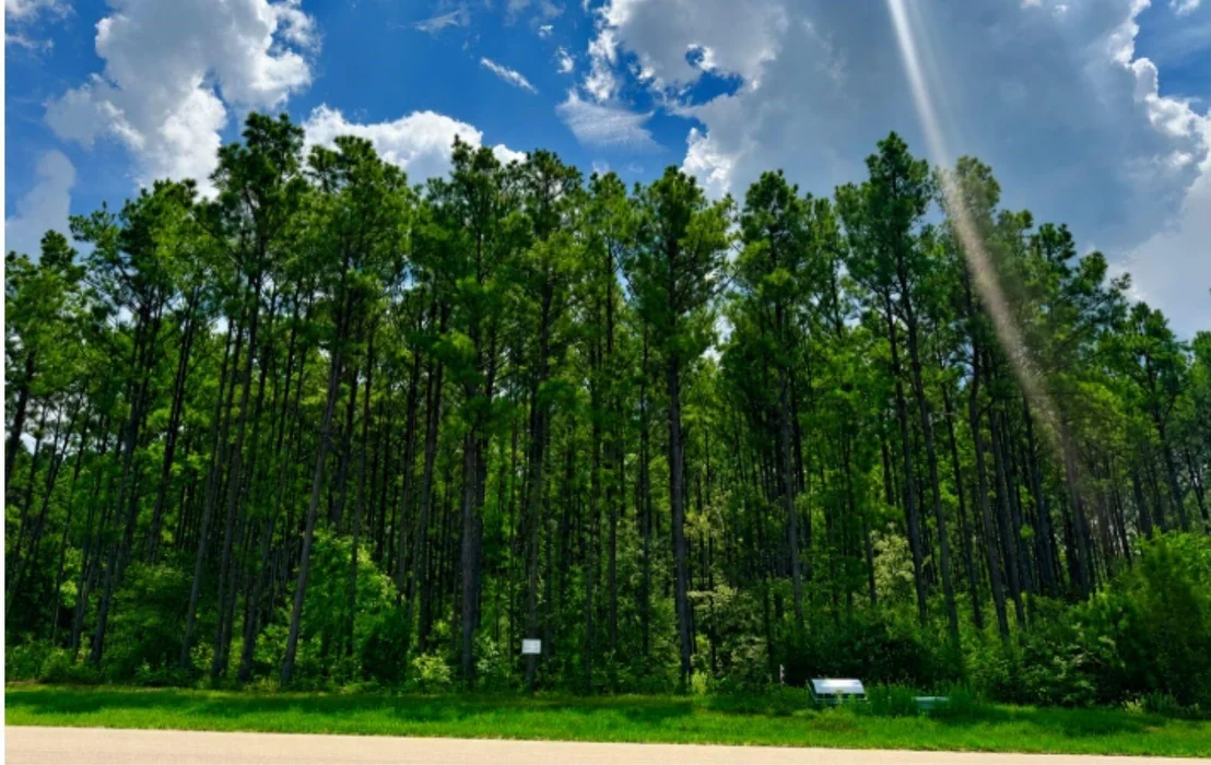Photo of 10891 Ruger Road