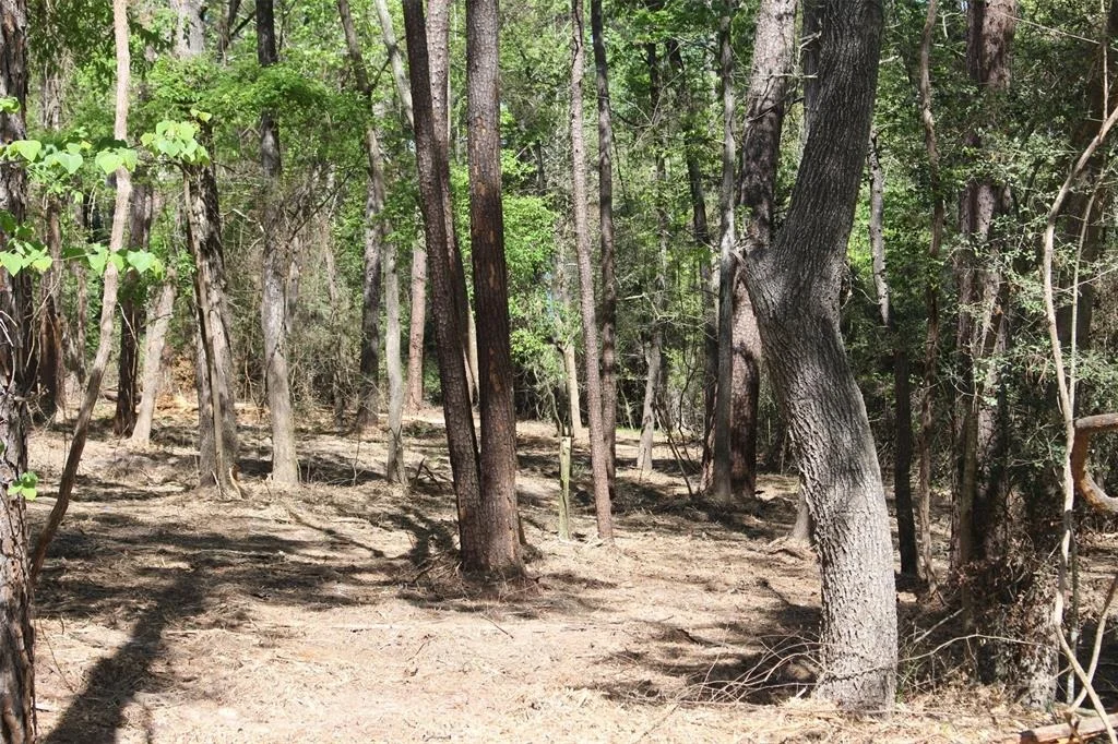 Photo of 145 Crossed Arrows