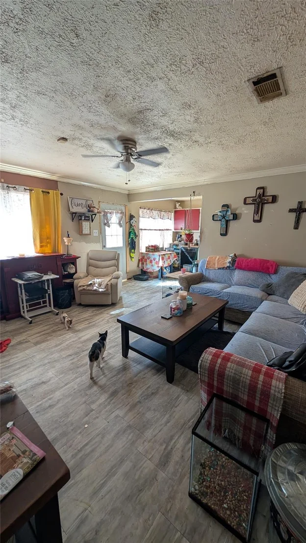 Photo of 257 County Road 3669b