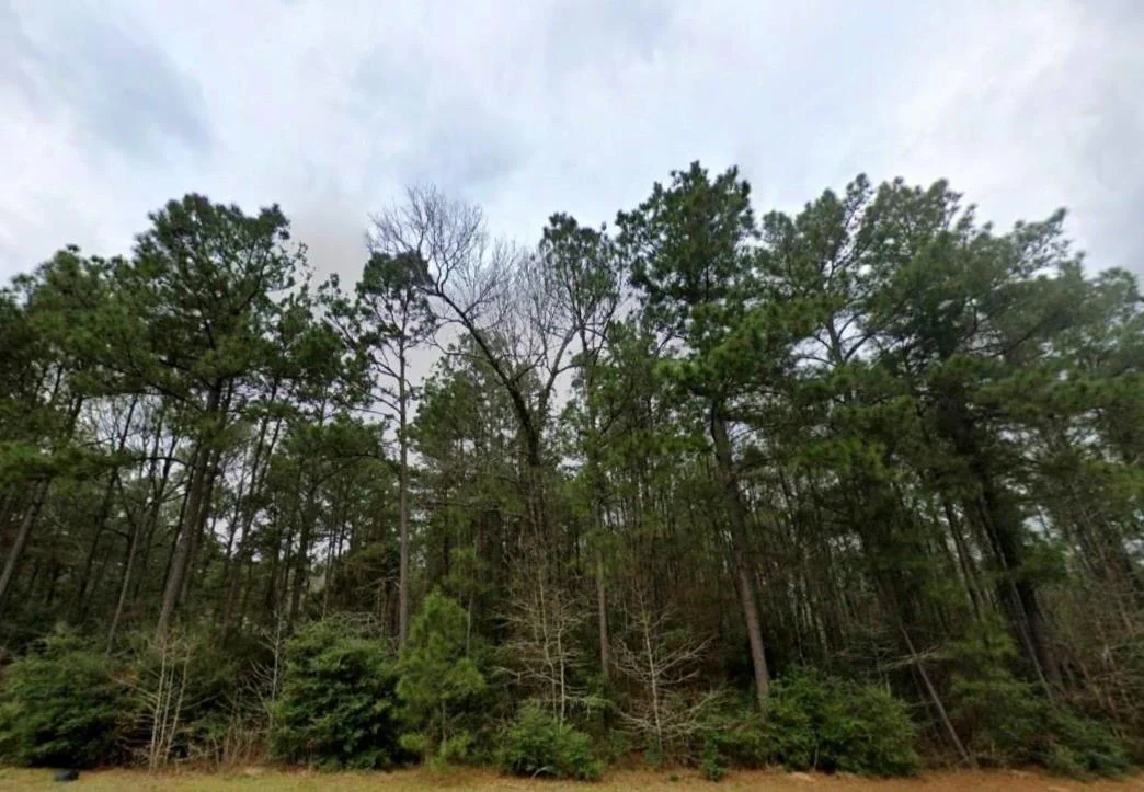 Photo of 222 Rustic Ranch Drive