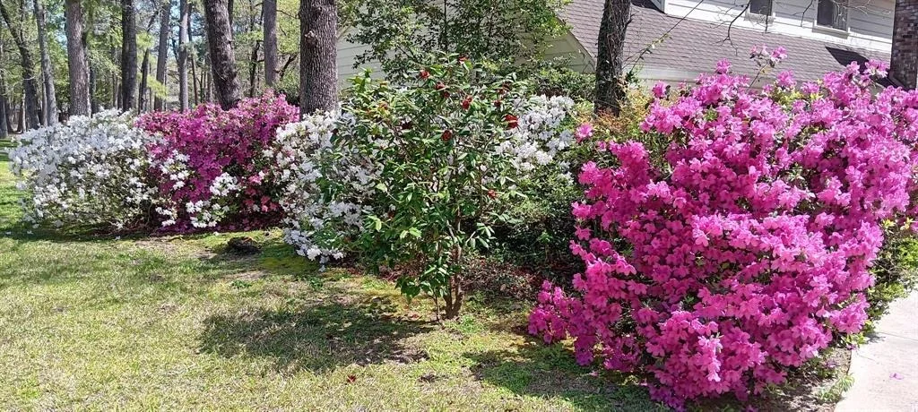 Photo of 639 Tallahassee Park