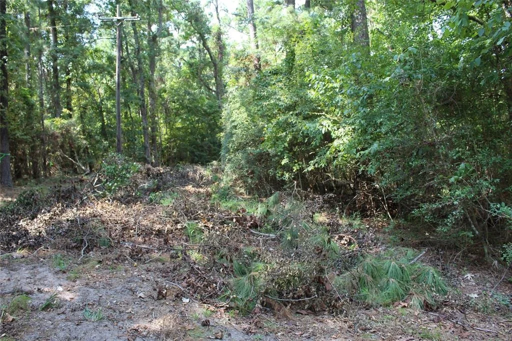 Photo of 1901 Lakeview Estates Drive