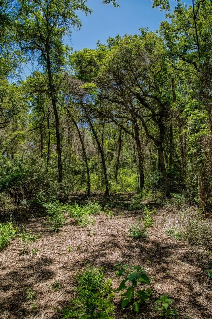 Photo of 1972 County Road 324