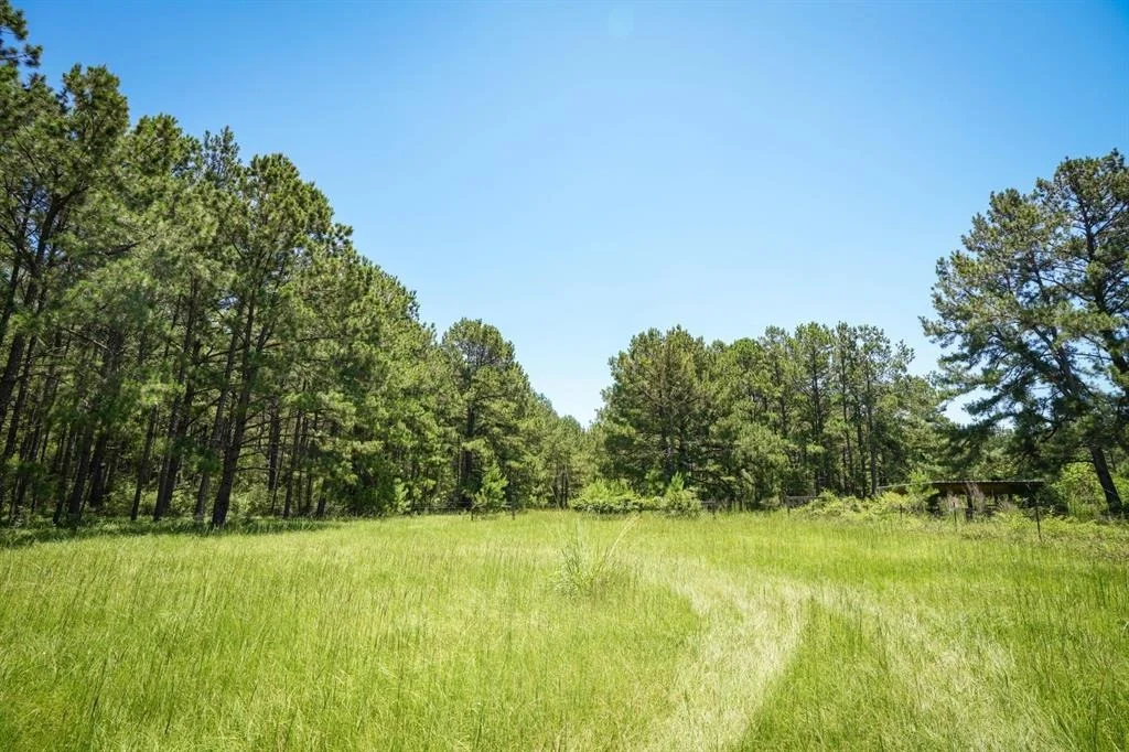 Photo of 850 County Road 4390