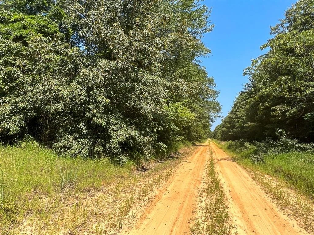 Photo of 05 Highway 49