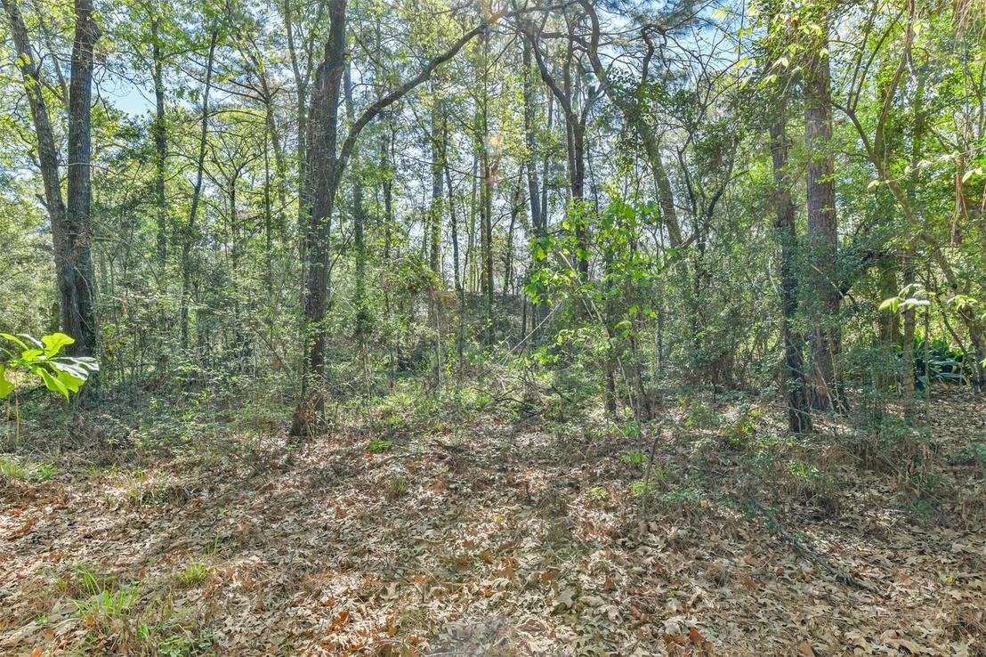 Photo of 1811 Black Bear Drive