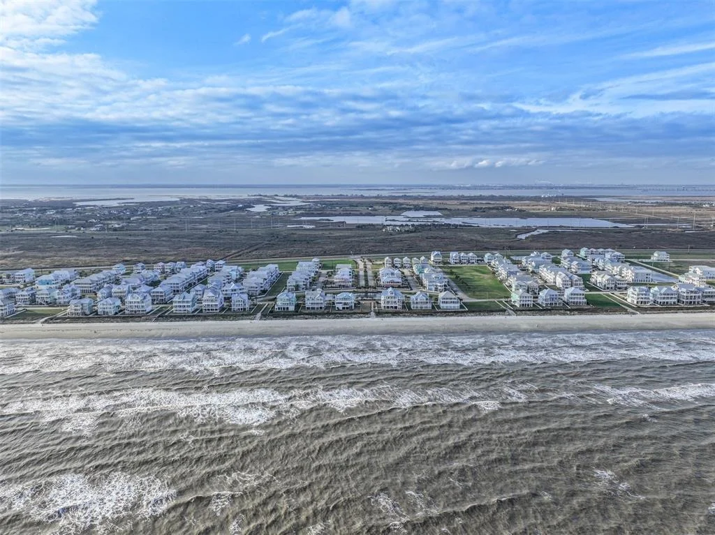 Photo of 3810 Wentletrap