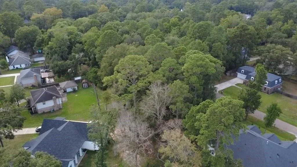 Photo of 31 Holly Springs Drive