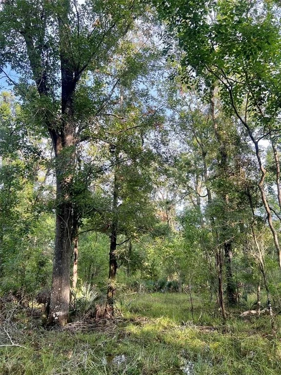 Photo of 3941 County Road 780