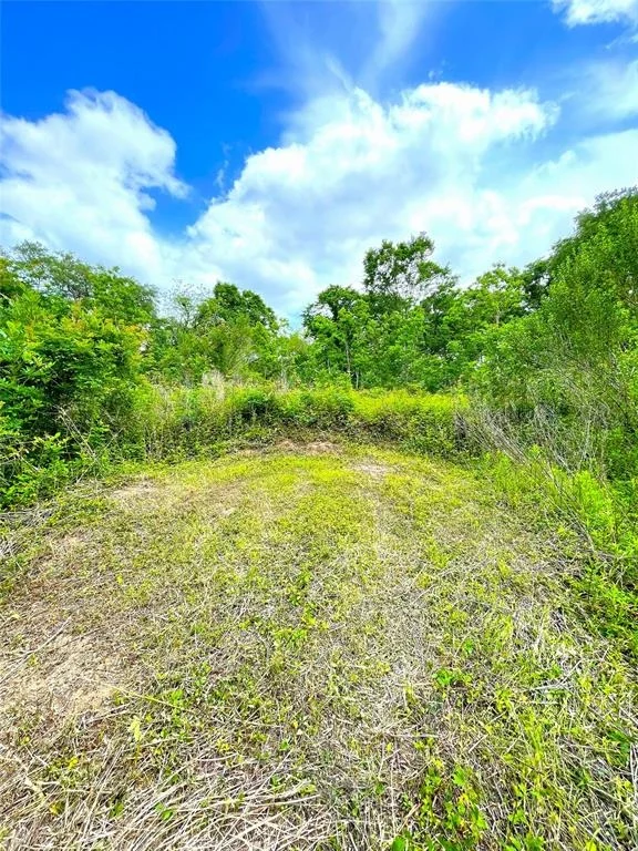 Photo of 5135 County Road 288
