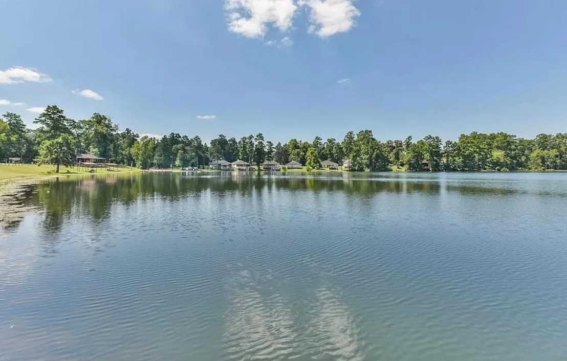 Photo of 10775 Royal Forest Drive